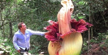 15 Plants You Won’t Believe Actually Exist