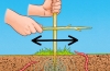 4. How to lure worms