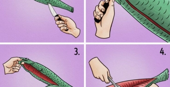 6. How to properly clean a fish